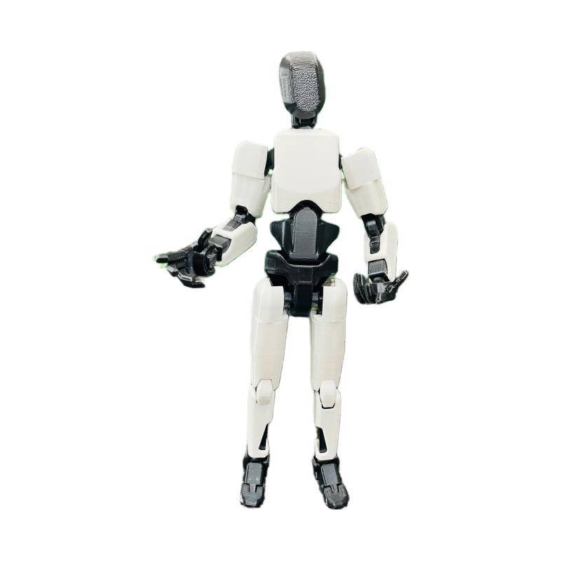 Dummy 13 Tesla Bot Optimus